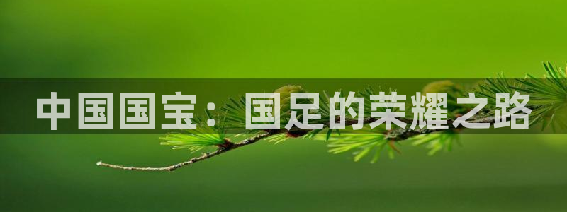 世界杯2026比赛时间表：中国国宝：国足的荣耀之路