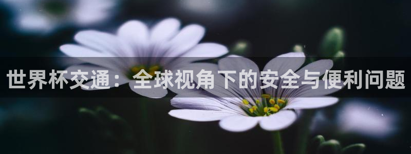 世界杯直播网：世界杯交通：全球视角下的安全与便利问题