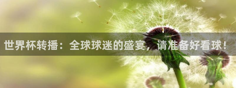世界杯球队排名：世界杯转播：全球球迷的盛宴，请准备好看球！