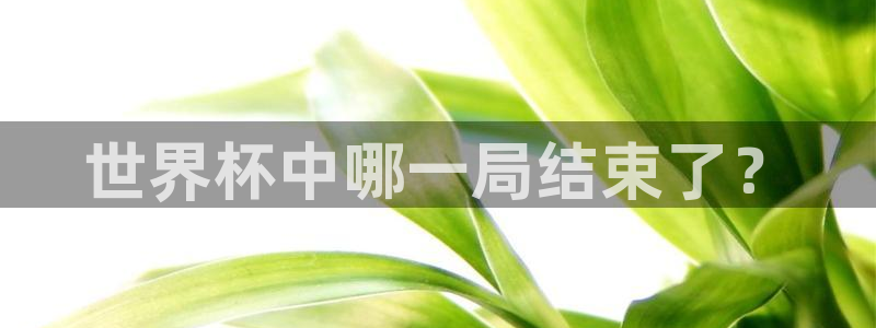 世界杯亚洲区预选赛赛程表：世界杯中哪一局结束了？