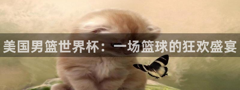 世界杯预选赛欧洲赛区赛程：美国男篮世界杯：一场篮球的狂欢盛宴