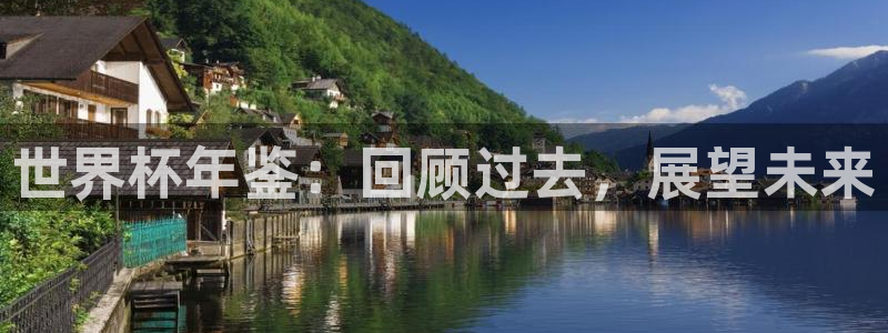 世界杯球赛：世界杯年鉴：回顾过去，展望未来