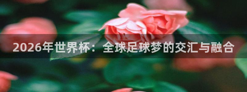 世界杯亚洲区预选赛积分榜：2026年世界杯：全球足球梦的交汇与融合