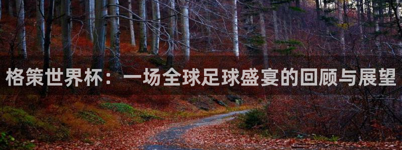 世界杯比赛赛程：格策世界杯：一场全球足球盛宴的回顾与展望