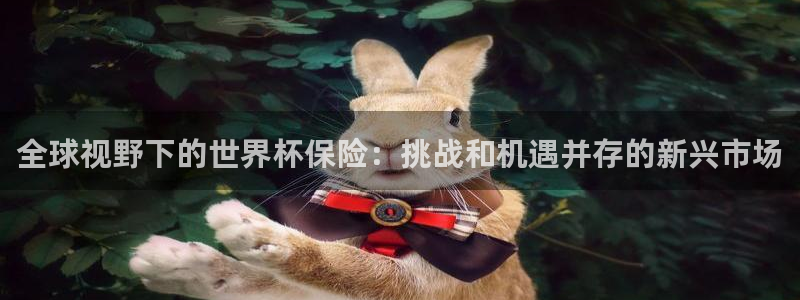 足球世预赛：全球视野下的世界杯保险：挑战和机遇并存的新兴市场