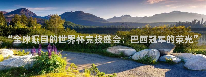2026年世界杯直播平台：“全球瞩目的世界杯竞技盛会：巴西冠军的荣光”