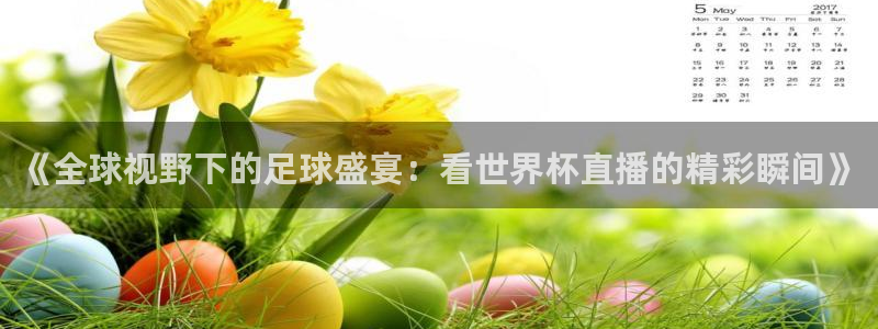 世俱杯直播：《全球视野下的足球盛宴：看世界杯直播的精彩瞬间》